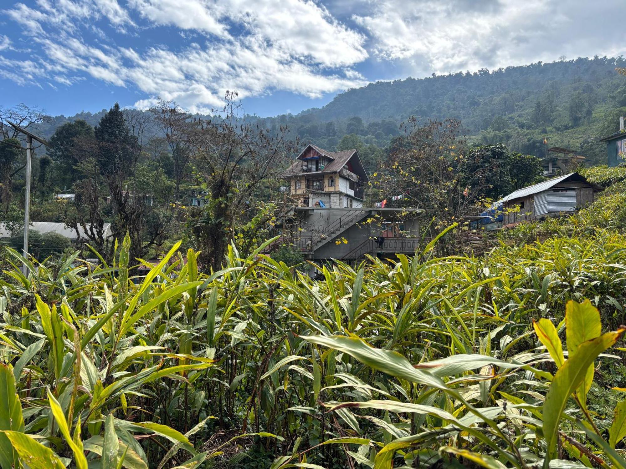 Odyssey'S Darap Eco Retreat Apartment Pelling Bagian luar foto